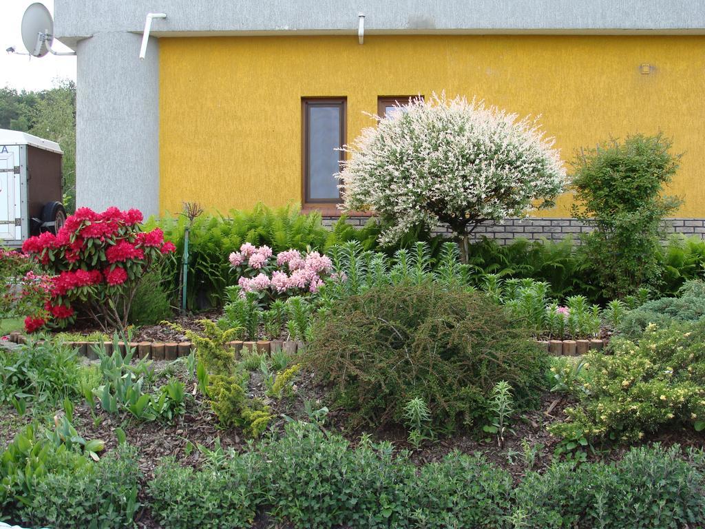 Gospodarstwo Agroturystyczne Ania I Filip Izabelin  Exterior foto